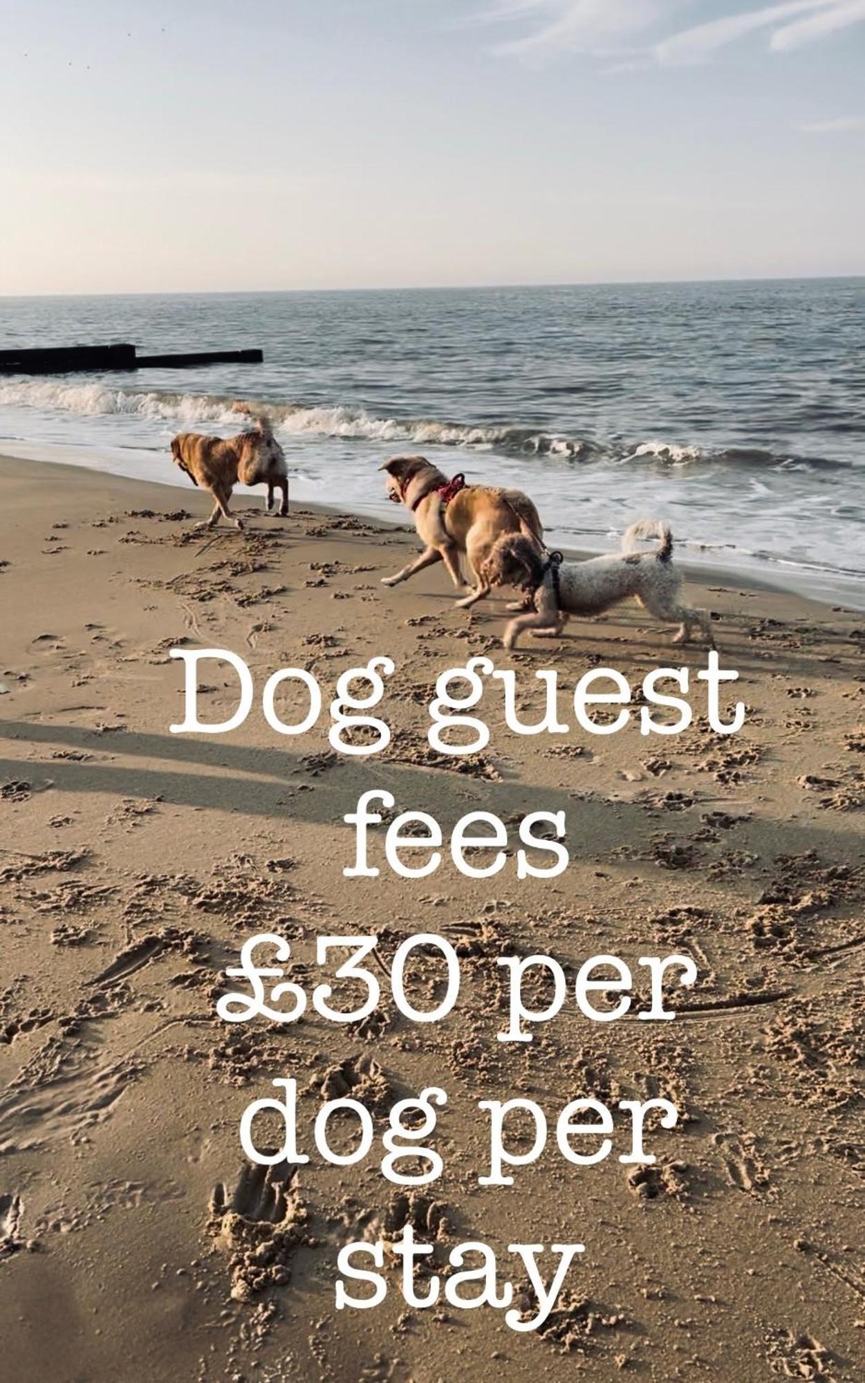 Coastal Terrace Dogs Welcome Optional Hot Tub Βίλα Sea Palling Εξωτερικό φωτογραφία